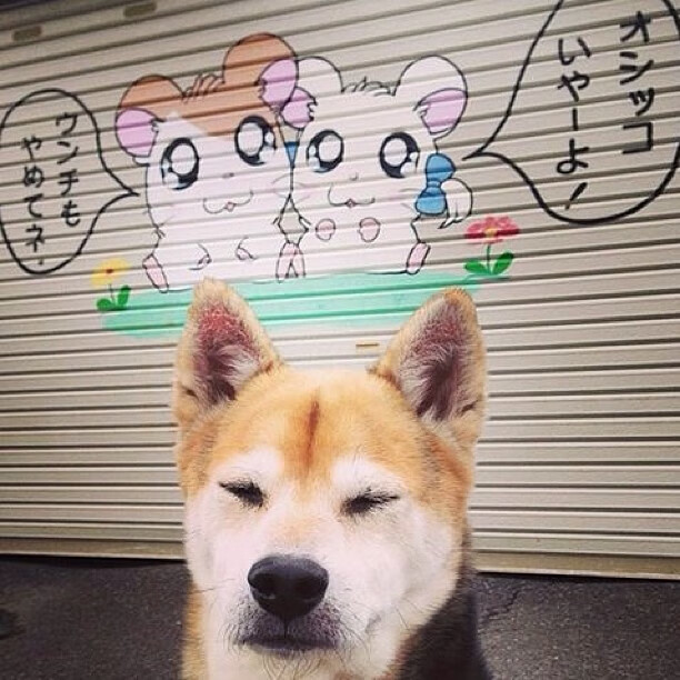 华体会网址-黄金一刀，沉默军团一波带走英格兰—奥亚尔萨瓦尔化身关键先生