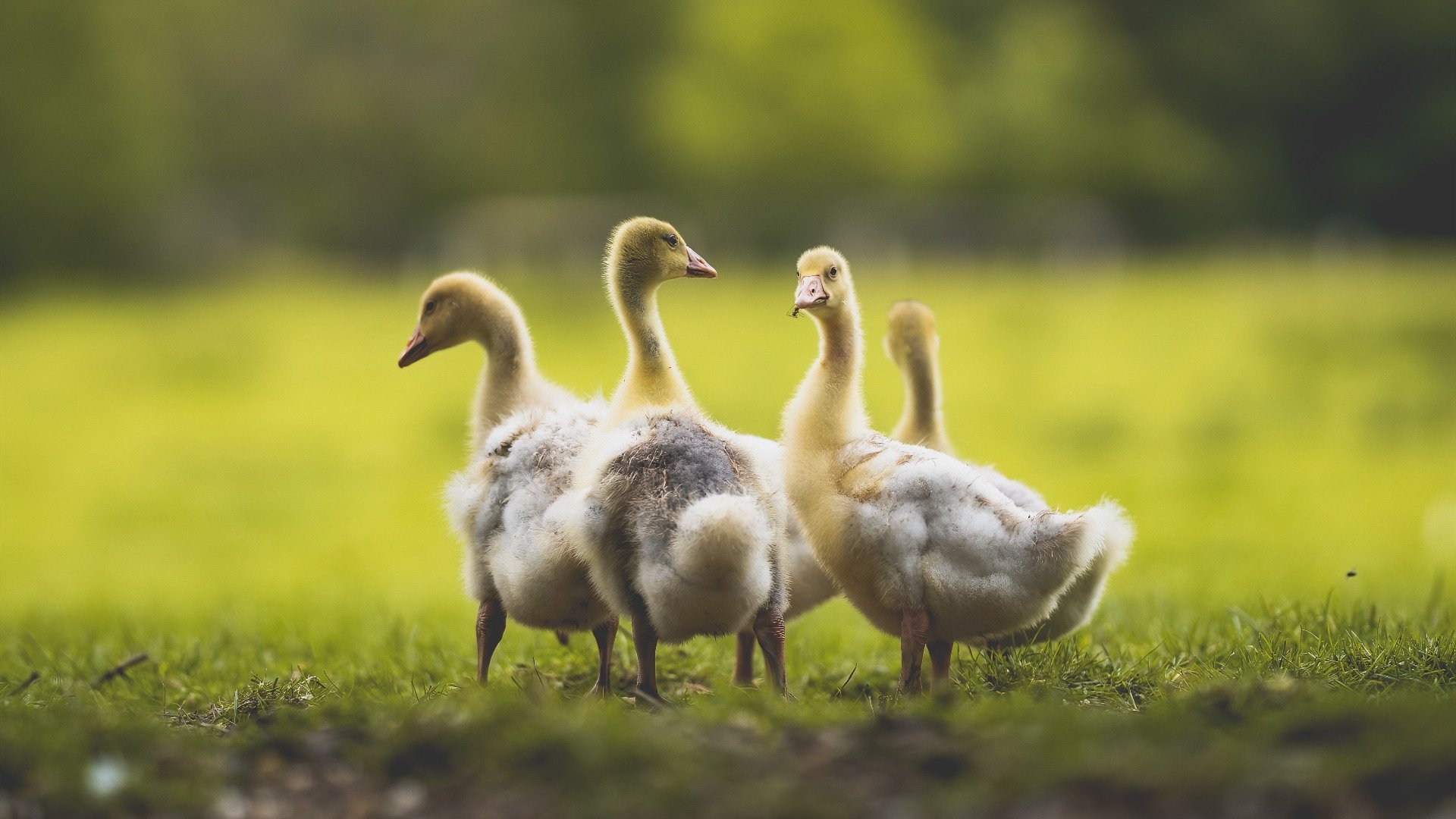 华体会登录-孤岛之上，意外亮起的灯塔