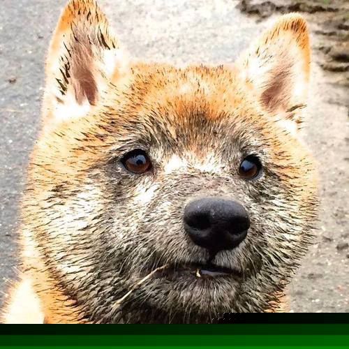 华体会网址-库里提前写完结局，太阳为国王合上最后一页